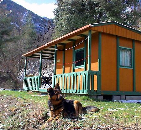 Chalet-Bungalow Ombrage Escaro المظهر الخارجي الصورة