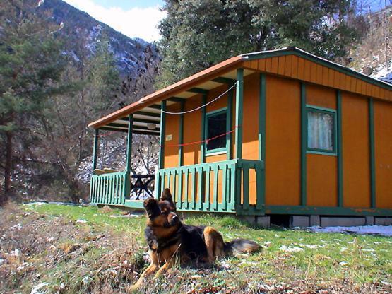 Chalet-Bungalow Ombrage Escaro المظهر الخارجي الصورة