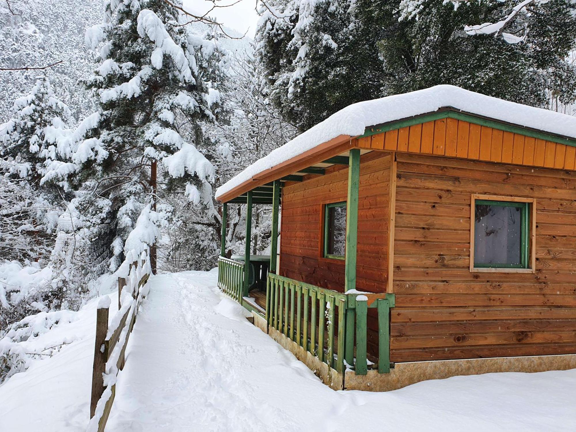Chalet-Bungalow Ombrage Escaro المظهر الخارجي الصورة